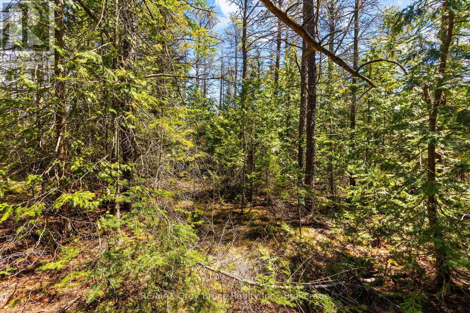 Lot 12 Willow Creek Crescent, Northern Bruce Peninsula, Ontario N0H 2R0 - Photo 8 - X12996640