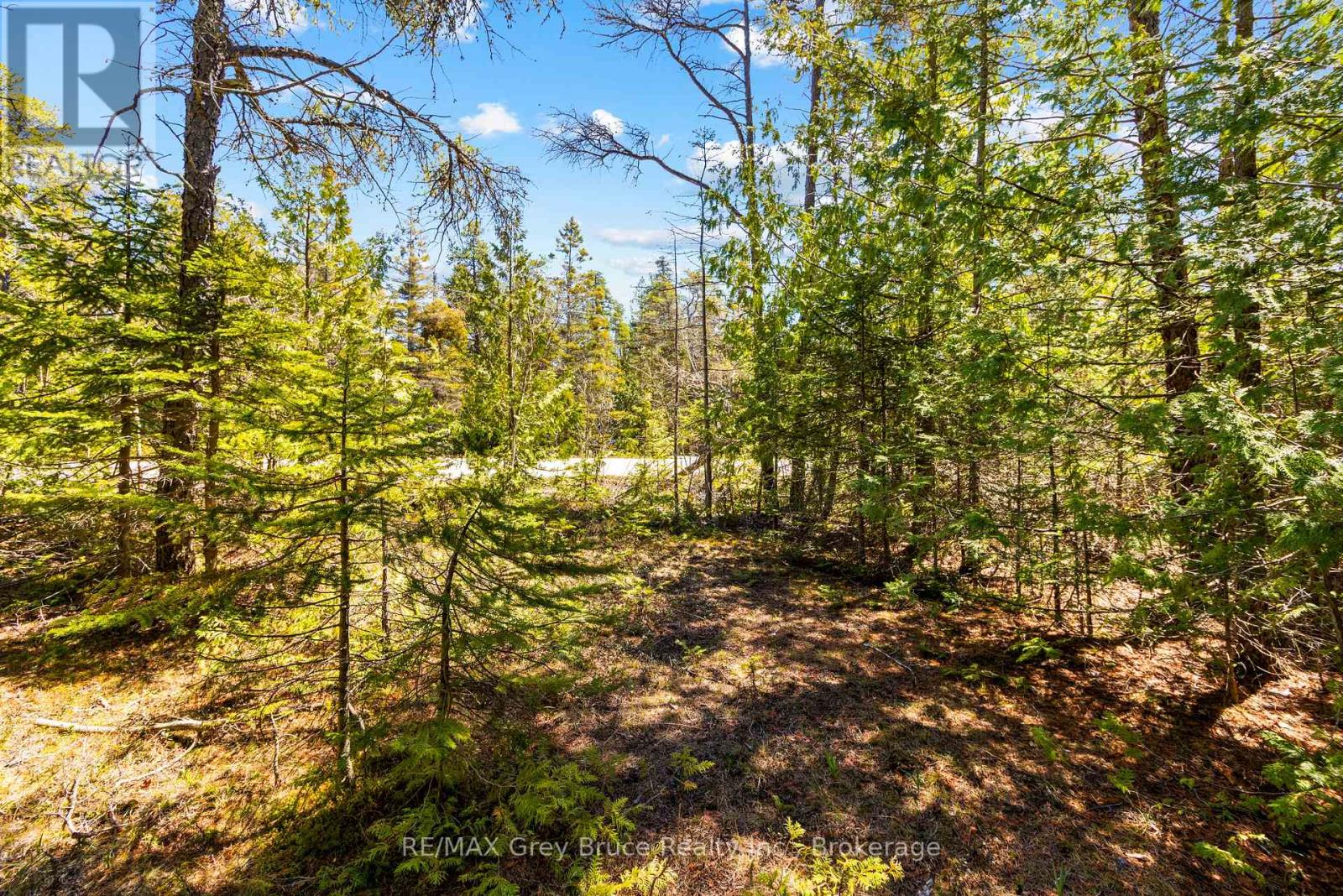 Lot 12 Willow Creek Crescent, Northern Bruce Peninsula, Ontario N0H 2R0 - Photo 9 - X12996640