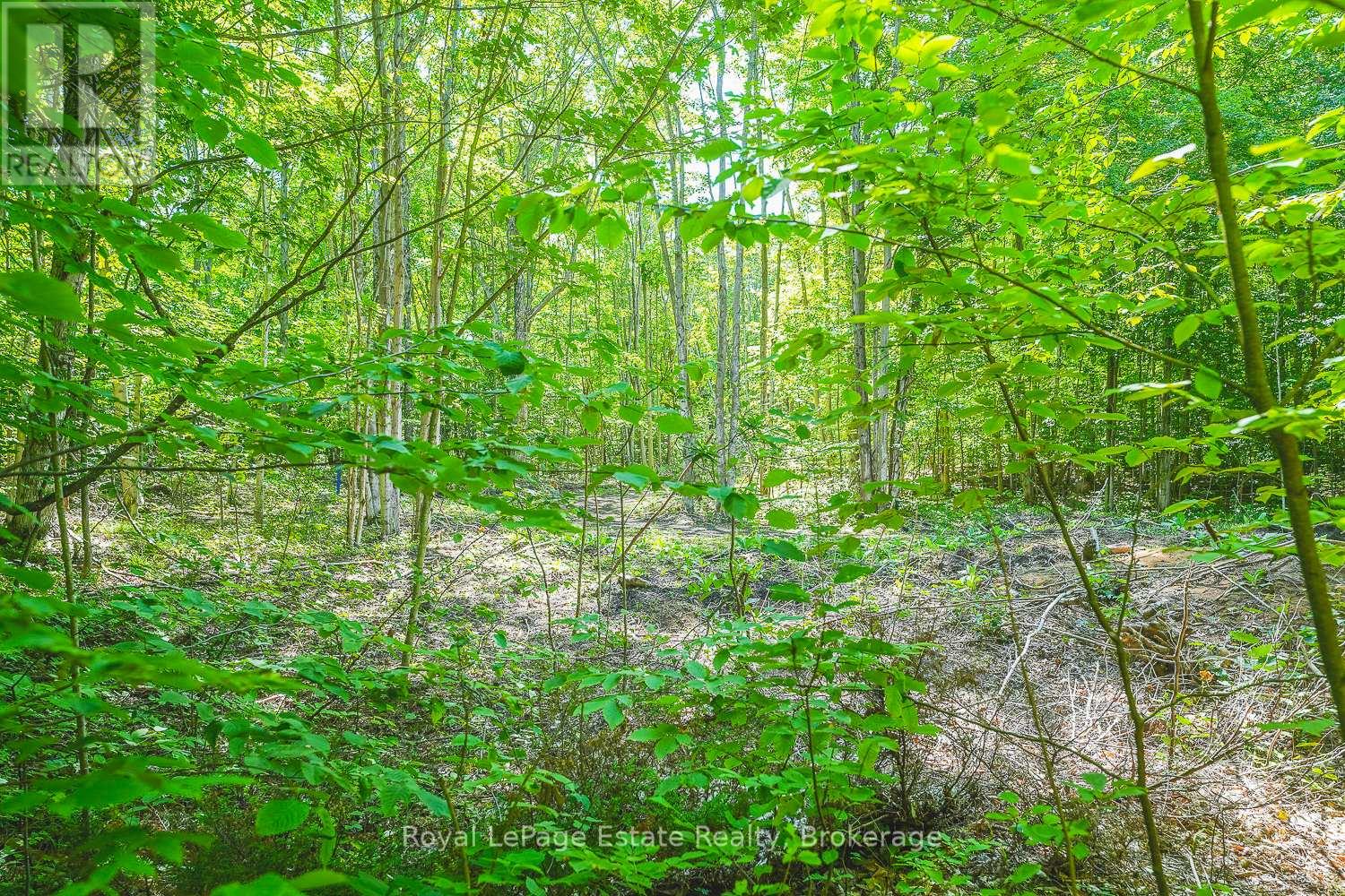 Lot 3 Sixth Street, South Bruce Peninsula, Ontario N0H 2G0 - Photo 5 - X13021422