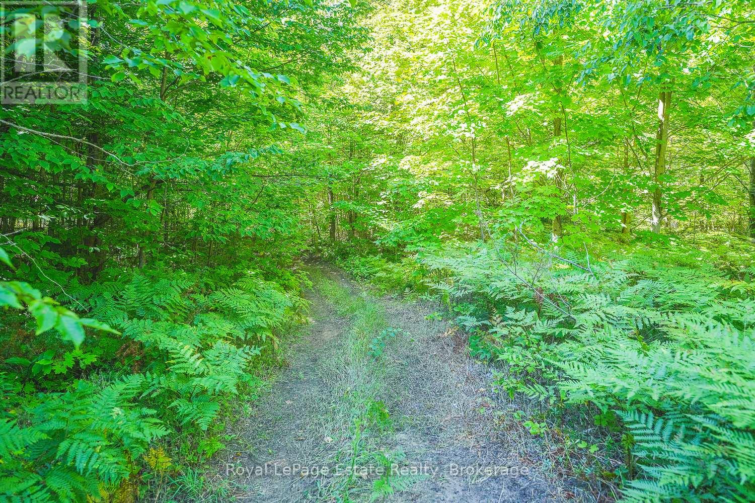 Lot 4 Sixth Street, South Bruce Peninsula, Ontario N0H 2G0 - Photo 3 - X13021426