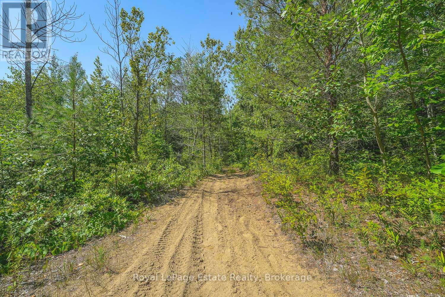Lot 4 Sixth Street, South Bruce Peninsula, Ontario N0H 2G0 - Photo 7 - X13021426