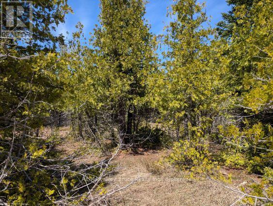 0 Sutter Road, Northern Bruce Peninsula, Ontario N0H 2T0 - Photo 2 - X13052042
