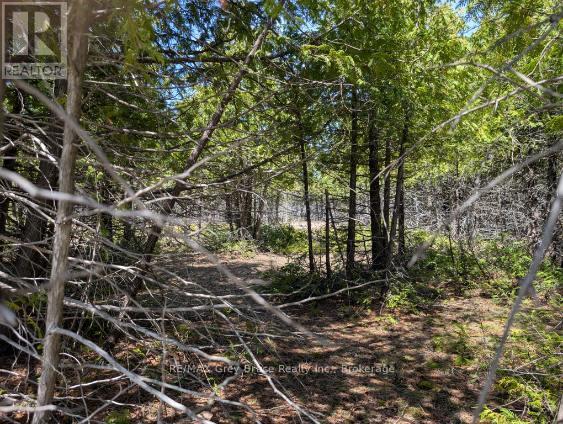 0 Sutter Road, Northern Bruce Peninsula, Ontario N0H 2T0 - Photo 4 - X13052042