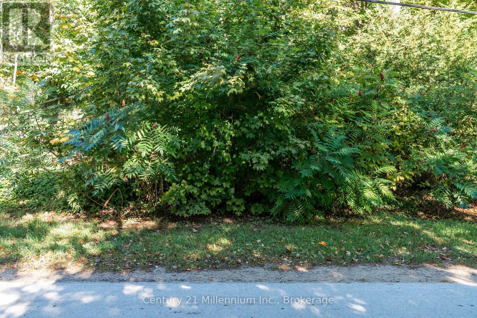 115 Mallory Beach Road, South Bruce Peninsula, Ontario N0H 2T0 - Photo 6 - X13070284