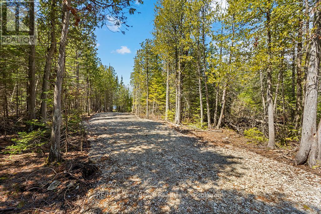 916 Dorcas Bay Road, Northern Bruce Peninsula, Ontario N0H 2R0 - Photo 5 - X13100716