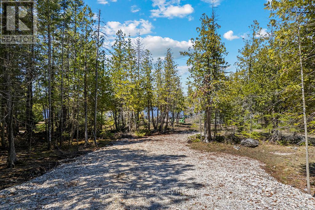916 Dorcas Bay Road, Northern Bruce Peninsula, Ontario N0H 2R0 - Photo 6 - X13100716
