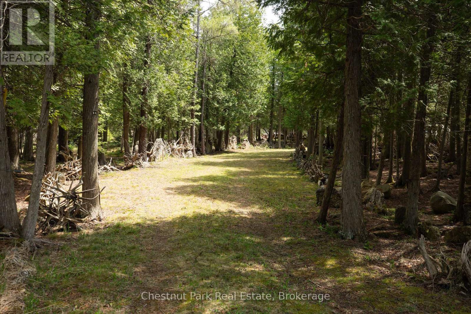 284 Whiskey Harbour Road, Northern Bruce Peninsula, Ontario N0H 2T0 - Photo 2 - X13120832