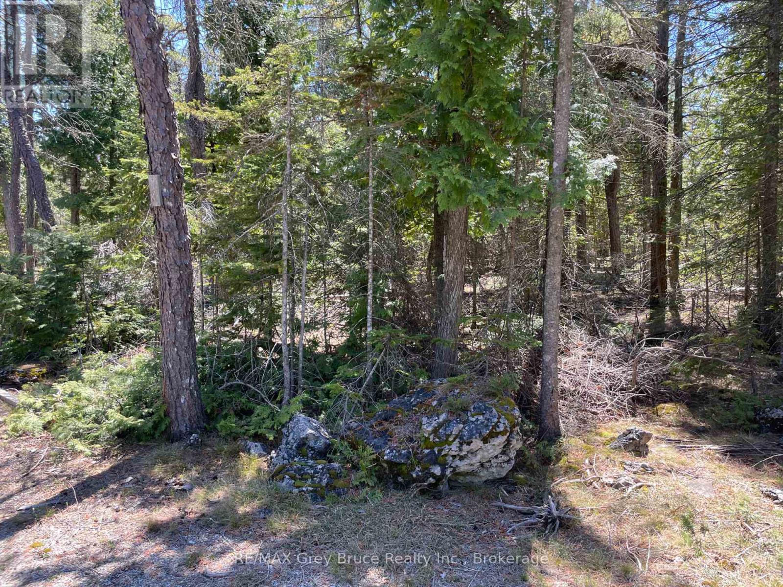 1035 Dorcas Bay Road, Northern Bruce Peninsula, Ontario N0H 2R0 - Photo 7 - X13159512