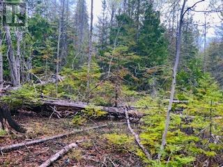 Lot 43 Warner Bay Road, Northern Bruce Peninsula, Ontario N0H 2R0 - Photo 5 - X13166152