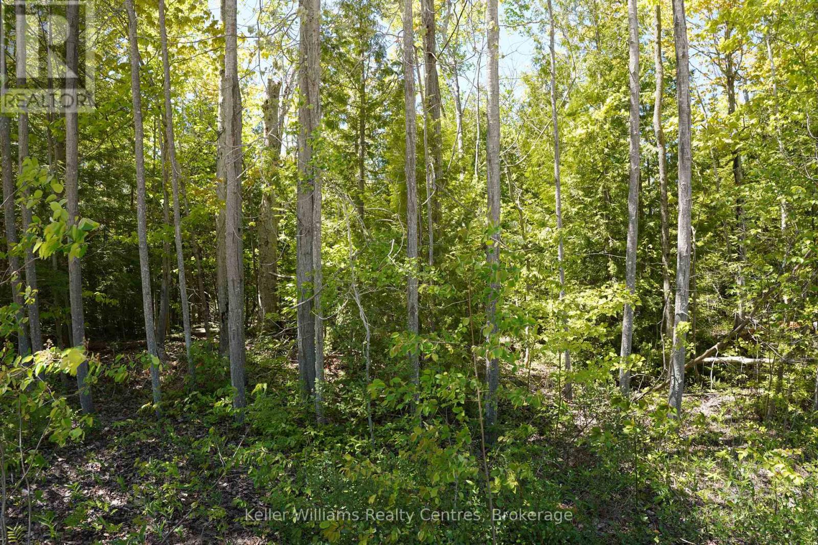 40 Old Red Bay Road, South Bruce Peninsula, Ontario N0H 2T0 - Photo 8 - X13232834