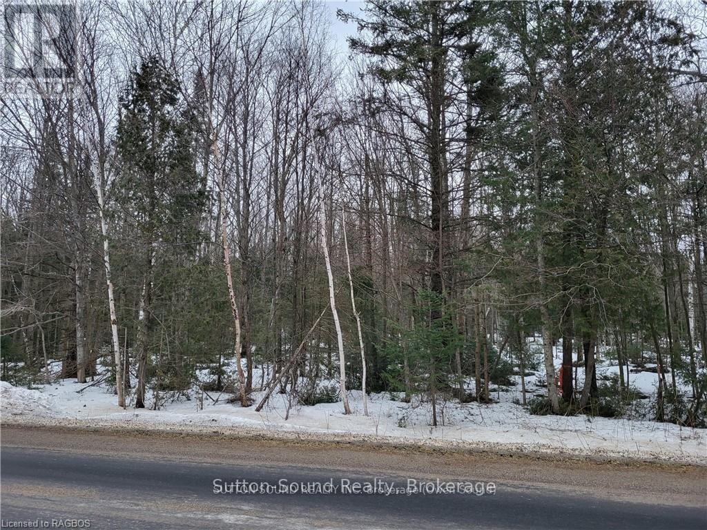 Lot 50 Cape Hurd Road, Northern Bruce Peninsula, Ontario N0H 2R0 - Photo 8 - X13499506