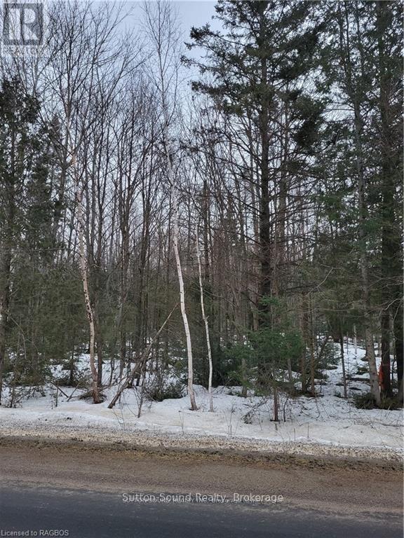 Lot 50 Cape Hurd Road, Northern Bruce Peninsula, Ontario N0H 2R0 - Photo 9 - X13499506