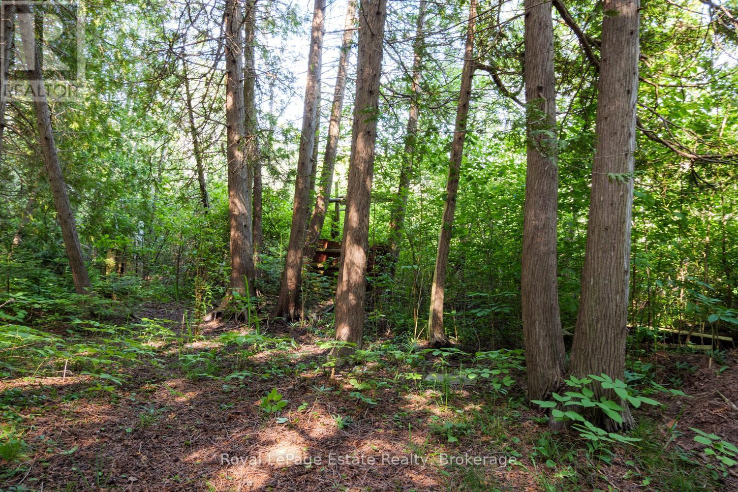 125 Third Avenue N, South Bruce Peninsula, Ontario N0H 2G0 - Photo 3 - X13509256