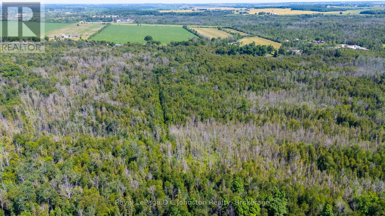 0 Lake Range Road, Saugeen Shores, Ontario N0H 2C5 - Photo 5 - X13534668