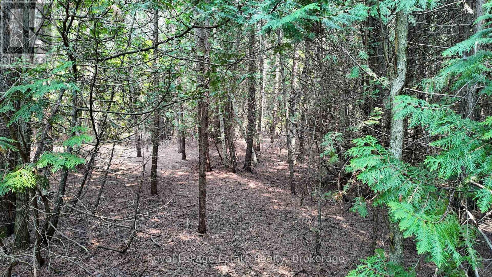 32 Telford Street, South Bruce Peninsula, Ontario N0H 2T0 - Photo 6 - X13565192