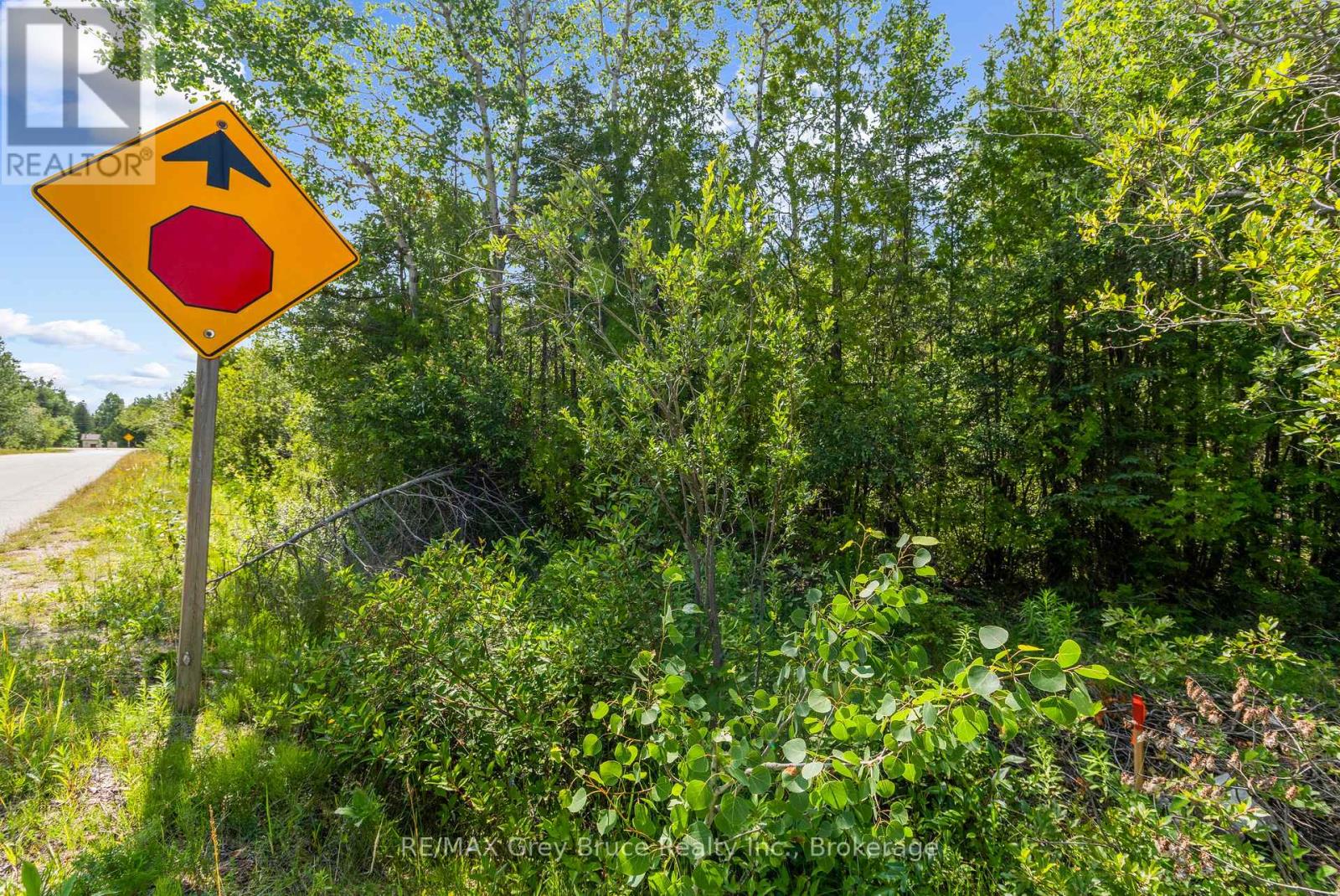 Part Farm Lot 4 Chi Sin Tib Dek Road, Northern Bruce Peninsula, Ontario N0H 2R0 - Photo 6 - X13612284