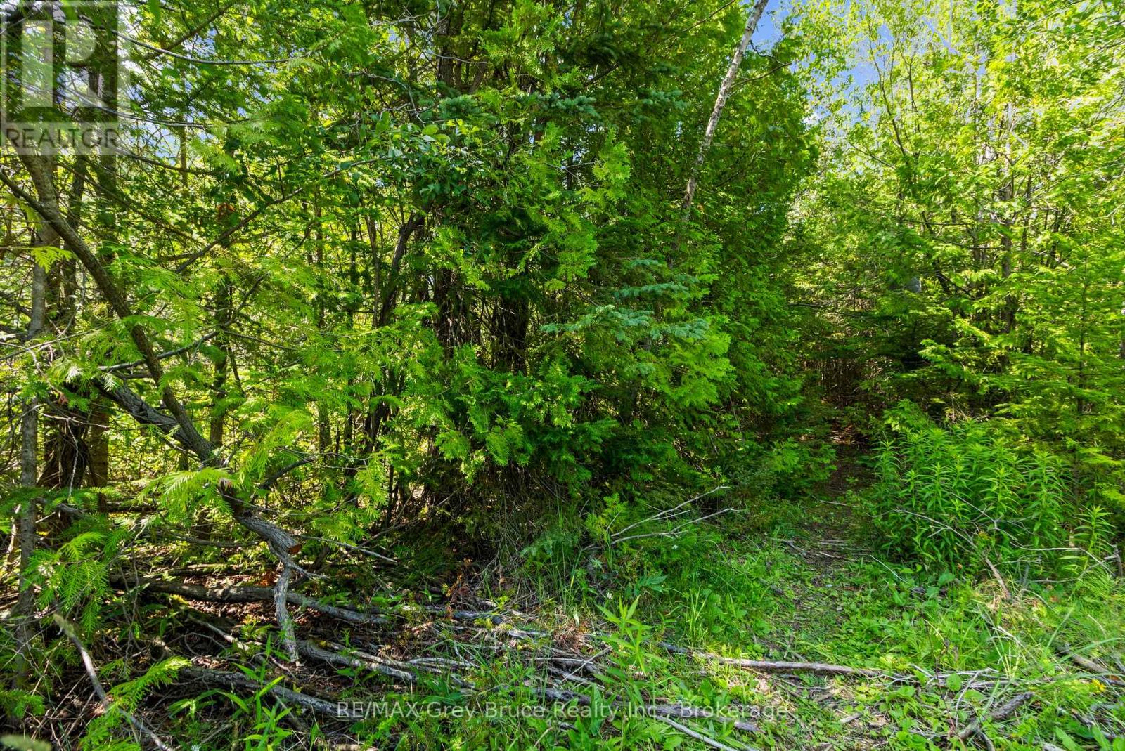 Part Farm Lot 4 Chi Sin Tib Dek Road, Northern Bruce Peninsula, Ontario N0H 2R0 - Photo 7 - X13612284