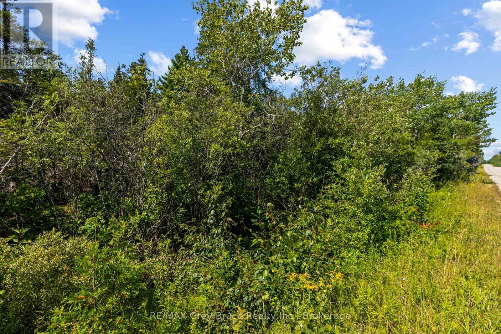 Part Farm Lot 4 Chi Sin Tib Dek Road, Northern Bruce Peninsula, Ontario N0H 2R0 - Photo 9 - X13612284