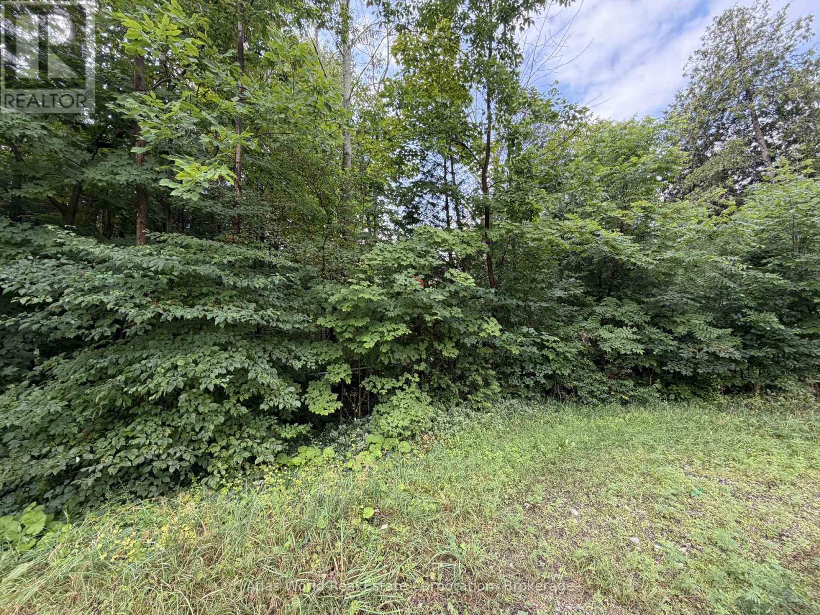 23 Front Street, South Bruce Peninsula, Ontario N0H 2T0 - Photo 2 - X13650196