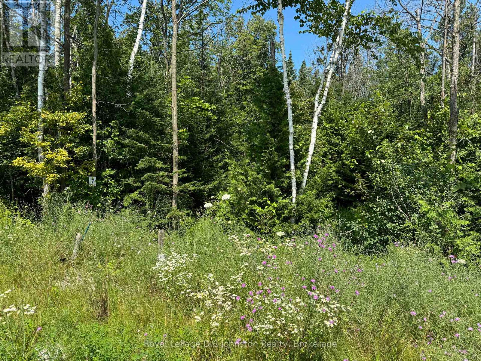 13 Lakeside Woods Crescent, Saugeen Shores, Ontario N0H 2C6 - Photo 8 - X13654634