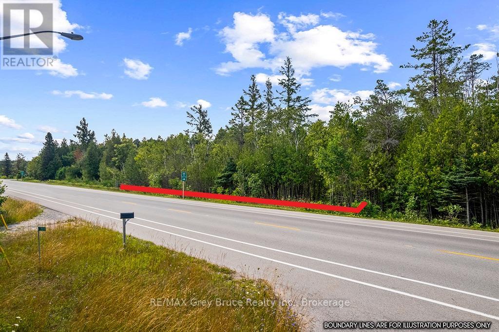 Part 2 Pt Lt 46 Highway 6, Northern Bruce Peninsula, Ontario N0H 2R0 - Photo 8 - X13680874