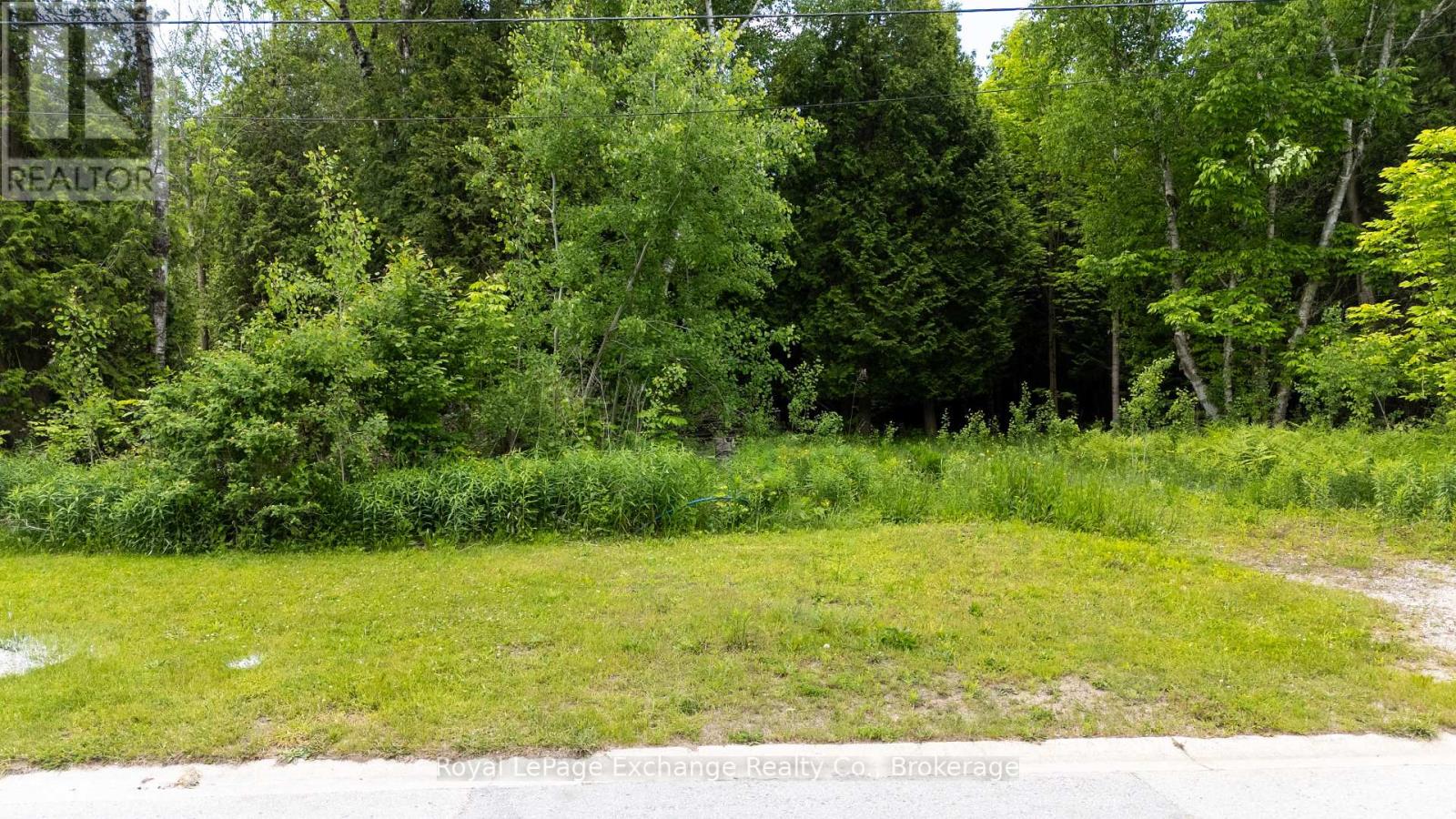 Part Park Lt 12 Elm Street E, Saugeen Shores, Ontario N0H 2L0 - Photo 8 - X13733042