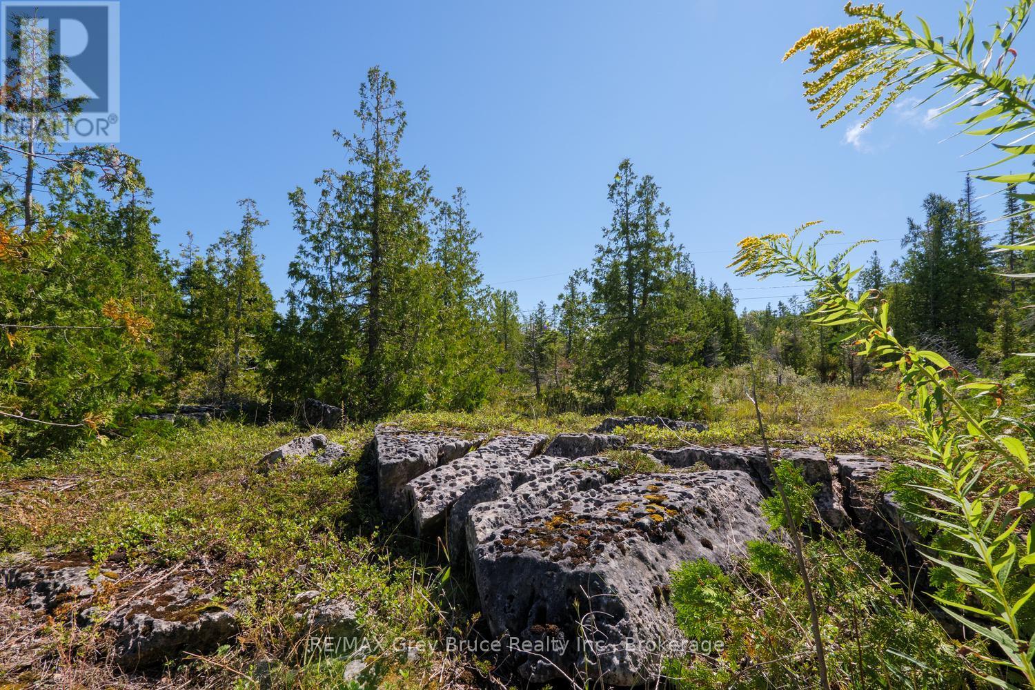 68 Bayshore Avenue S, Northern Bruce Peninsula, Ontario N0H 2R0 - Photo 6 - X13733580