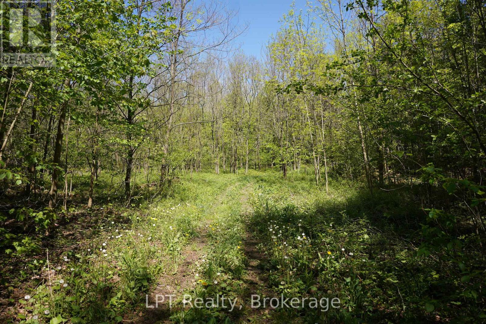 Lot 16 Grey Road 17, Georgian Bluffs, Ontario N0H 2T0 - Photo 6 - X13736286