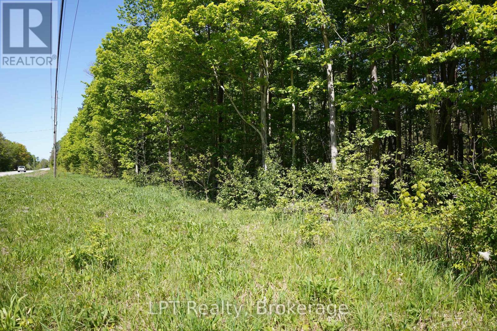Lot 16 Grey Road 17, Georgian Bluffs, Ontario N0H 2T0 - Photo 8 - X13736286