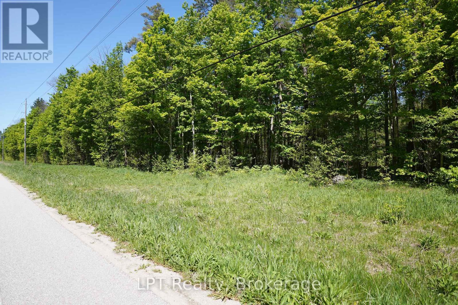 Lot 16 Grey Road 17, Georgian Bluffs, Ontario N0H 2T0 - Photo 9 - X13736286