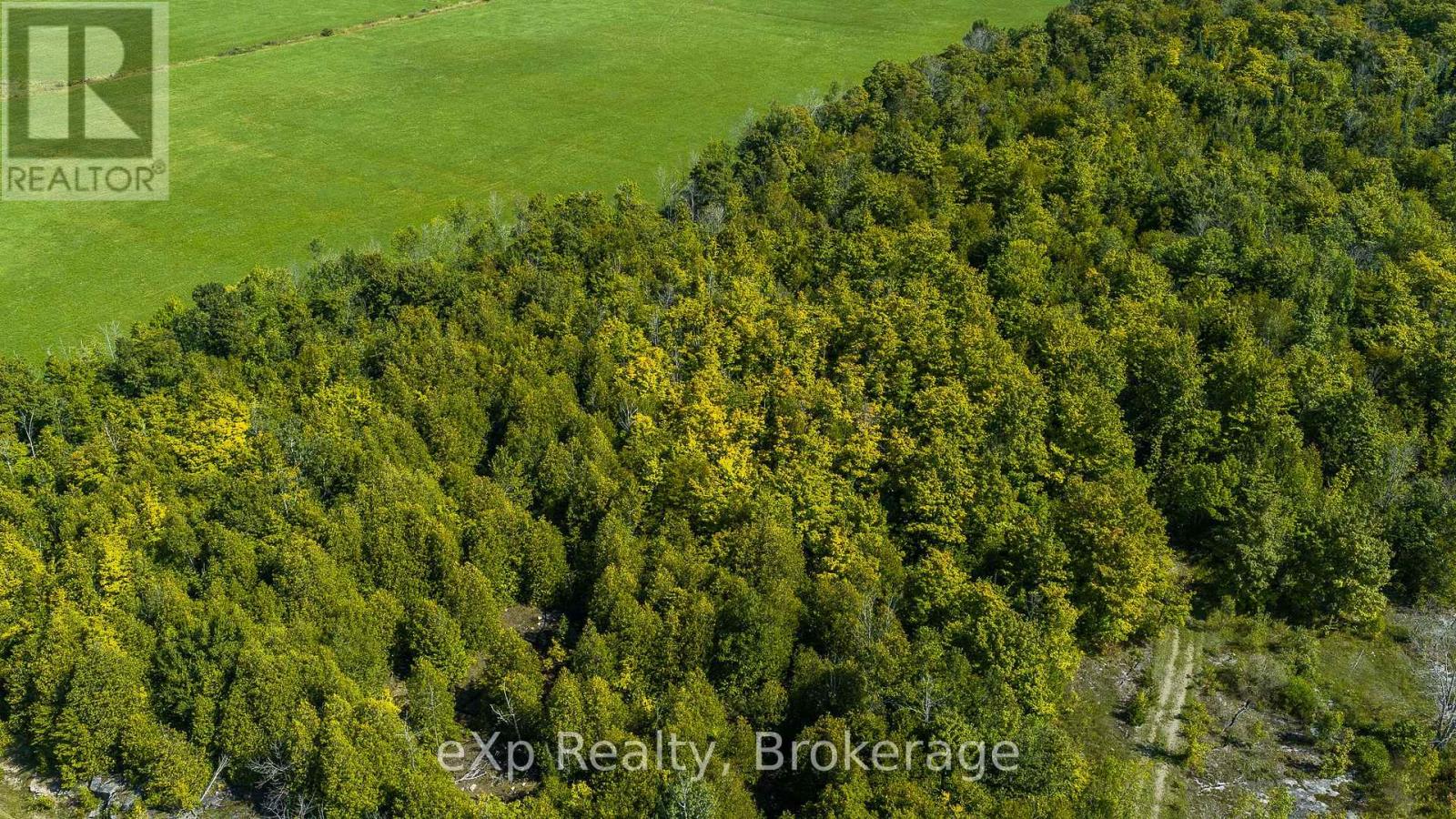 Pt Lt 2-3 Con 9, Bruce Rd 9, South Bruce Peninsula, Ontario N0H 2T0 - Photo 5 - X13756288
