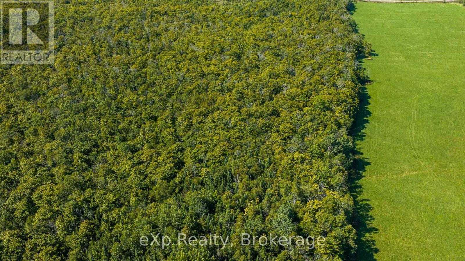 Pt Lt 2-3 Con 9, Bruce Rd 9, South Bruce Peninsula, Ontario N0H 2T0 - Photo 8 - X13756288