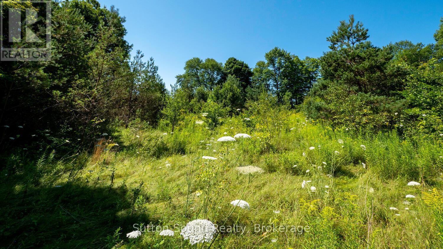 31 Everett Road, South Bruce Peninsula, Ontario N0H 2T0 - Photo 6 - X13827432