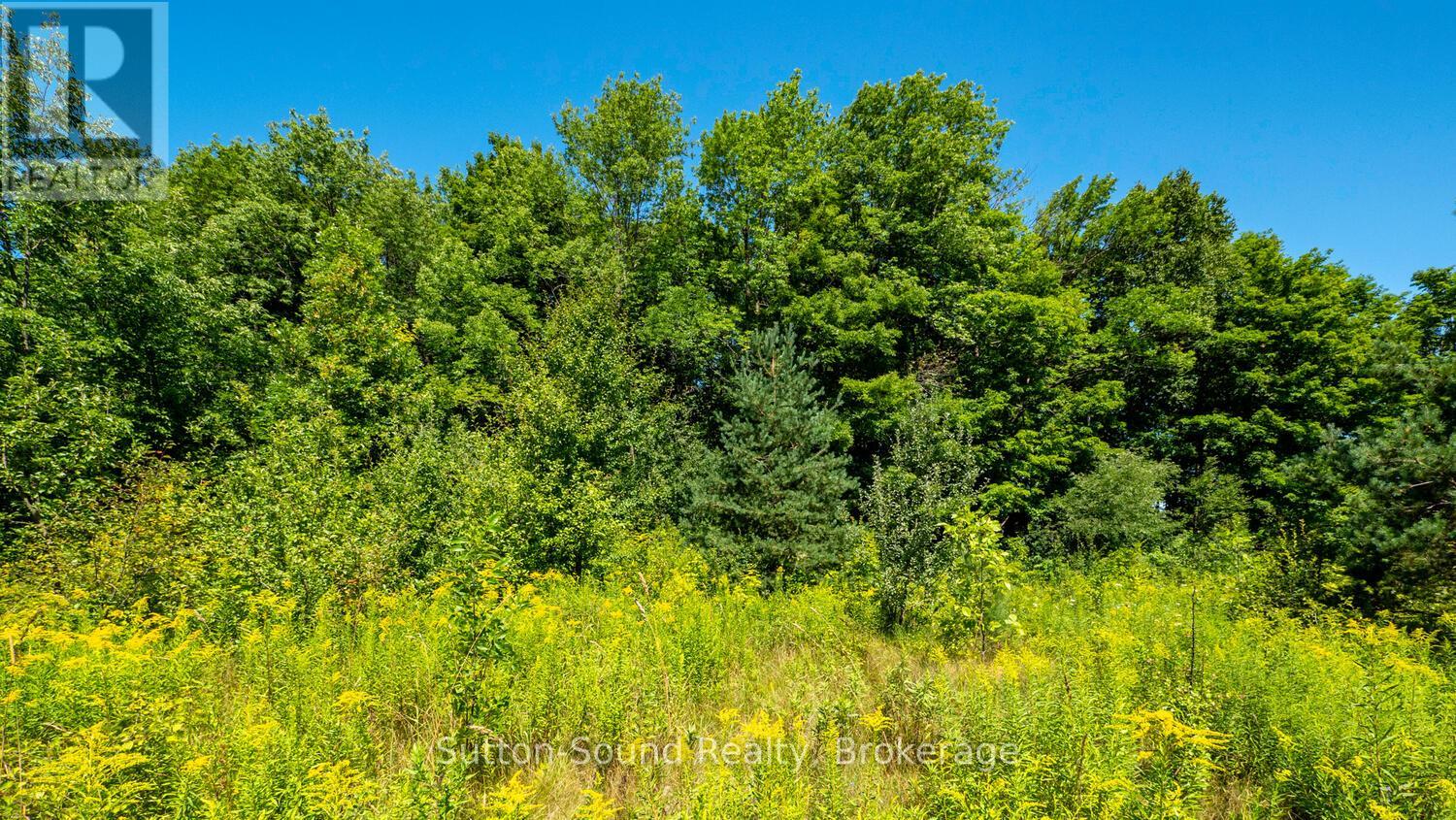 31 Everett Road, South Bruce Peninsula, Ontario N0H 2T0 - Photo 7 - X13827432