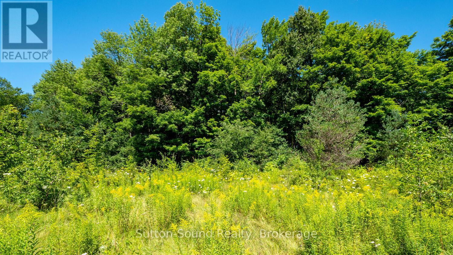 31 Everett Road, South Bruce Peninsula, Ontario N0H 2T0 - Photo 8 - X13827432