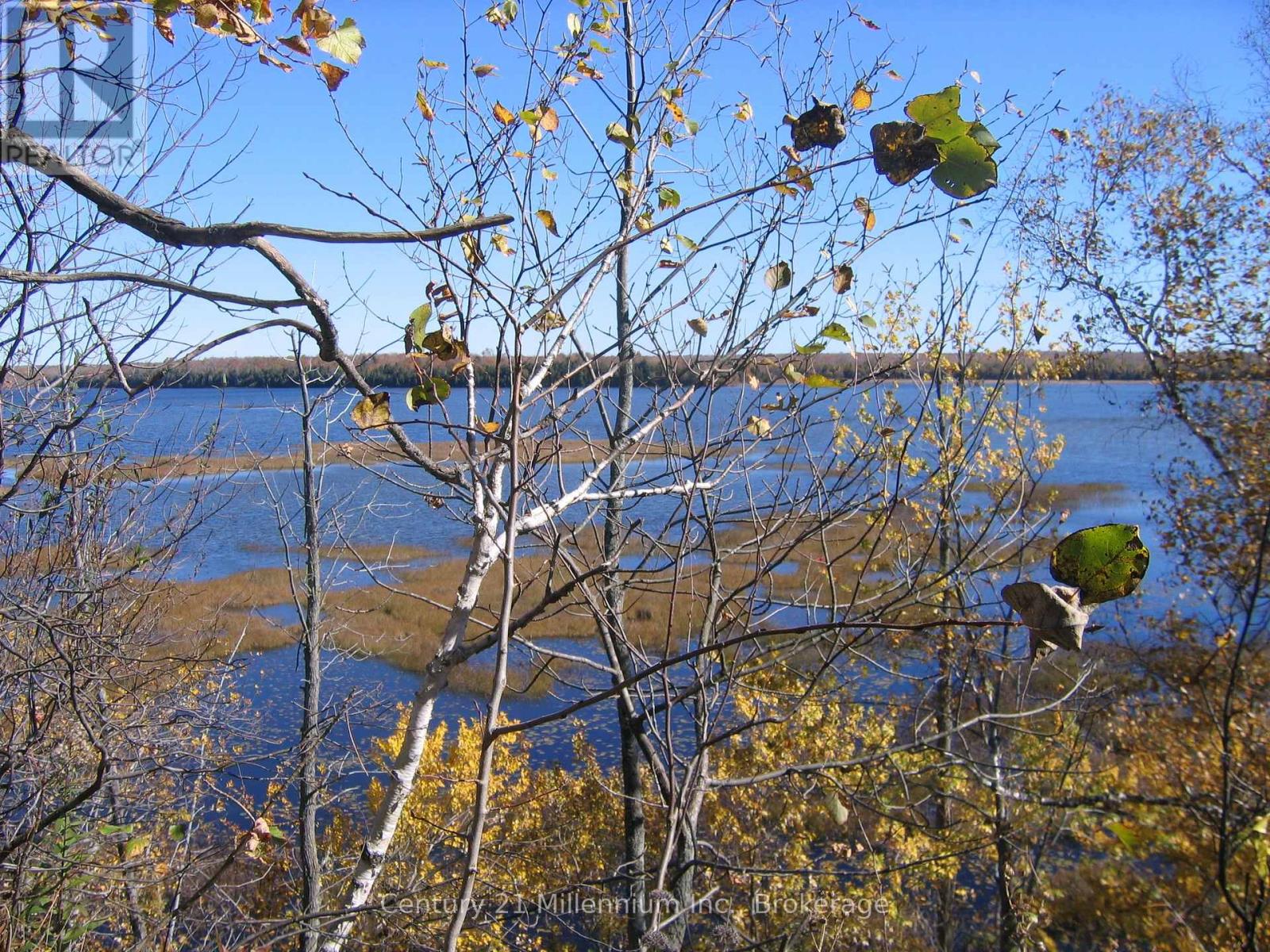 0 Lt 26 Con 2 Wbr Albemarle Concession, South Bruce Peninsula, Ontario N0H 2T0 - Photo 1 - X13830488