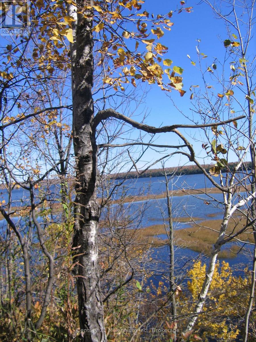 0 Lt 26 Con 2 Wbr Albemarle Concession, South Bruce Peninsula, Ontario N0H 2T0 - Photo 2 - X13830488
