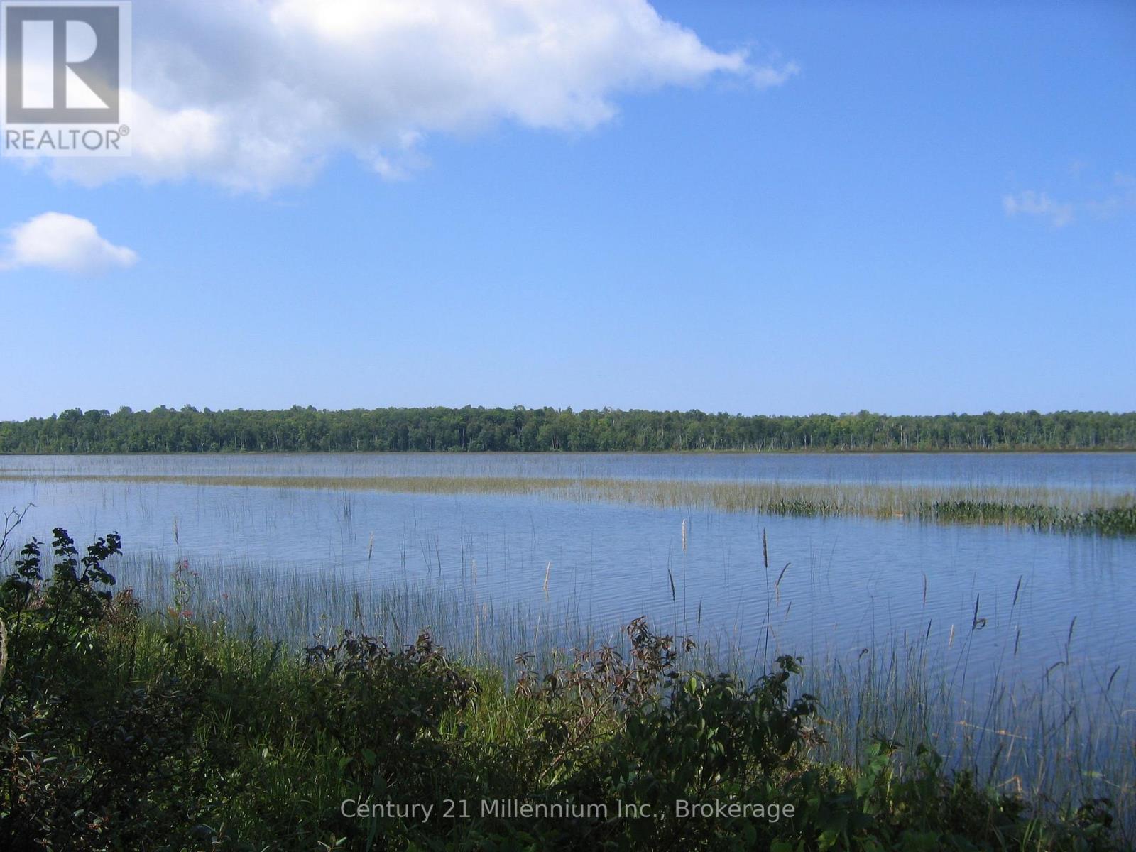 0 Lt 26 Con 2 Wbr Albemarle Concession, South Bruce Peninsula, Ontario N0H 2T0 - Photo 3 - X13830488