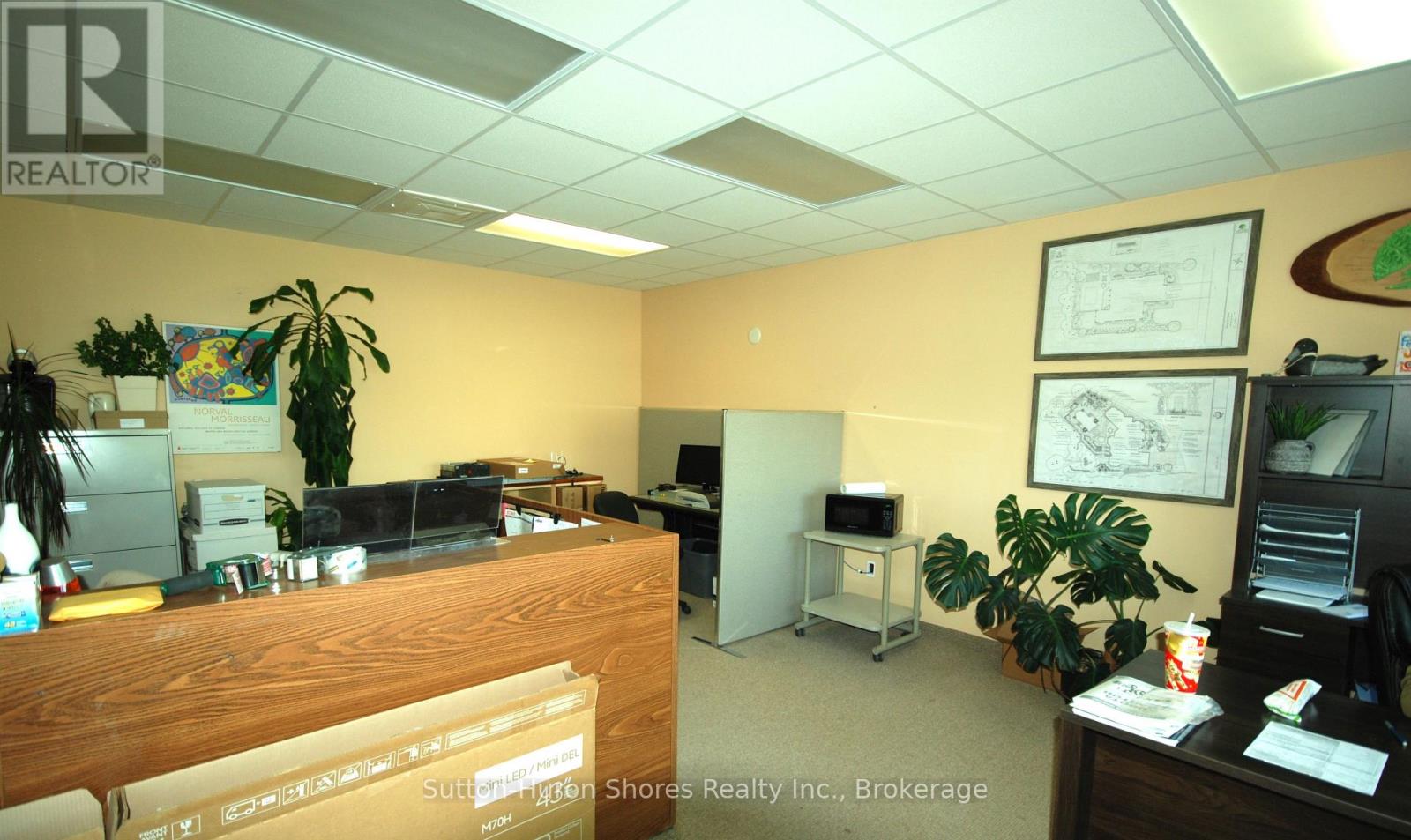 221 Adelaide Street, Saugeen Shores, Ontario N0H 2L0 - Photo 9 - X13877712