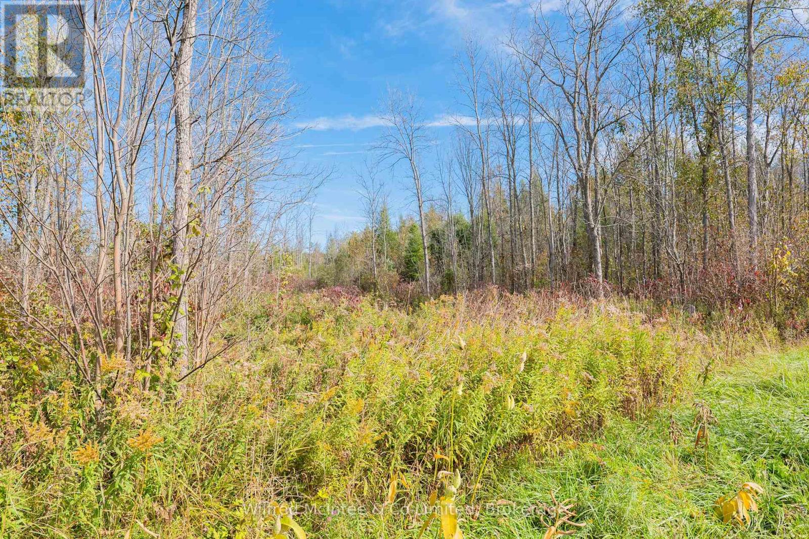 Lot 12 3 Concession, South Bruce Peninsula, Ontario N0H 1A0 - Photo 3 - X14125920