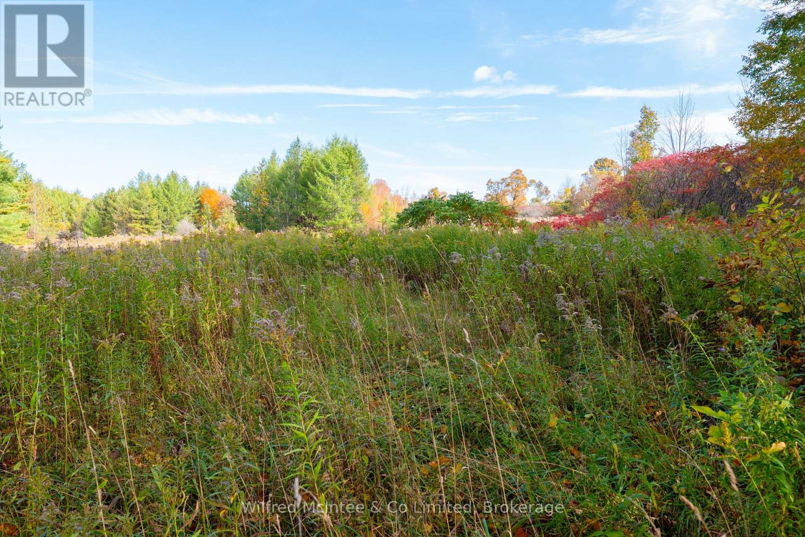 Lot 13 3 Concession, South Bruce Peninsula, Ontario N0H 1A0 - Photo 3 - X14126142